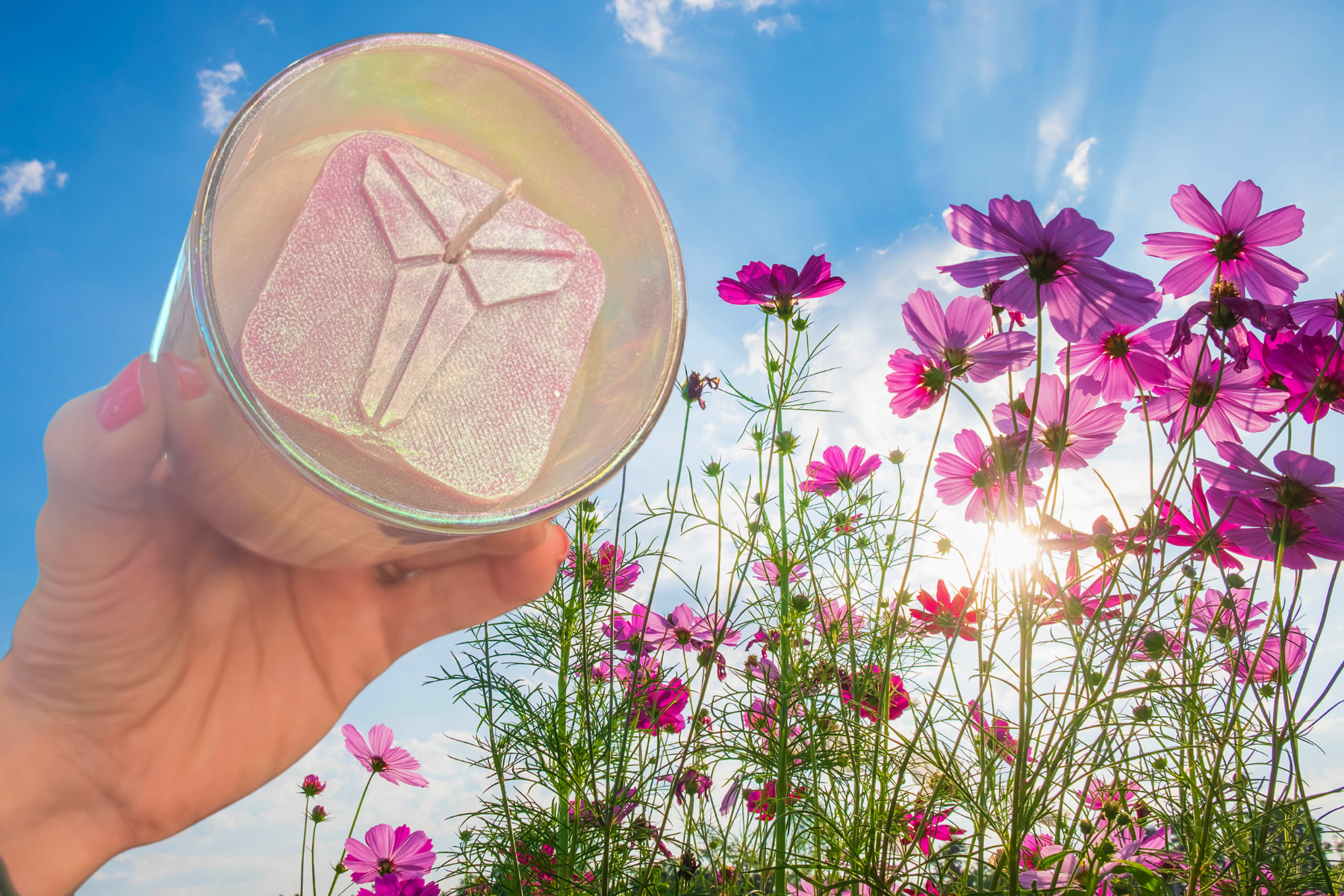 TwentyFour Candles to Launch August, 2025!